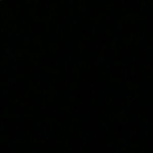 Meet your Posher, Danijela